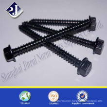 Drywall self drilling tapping screw